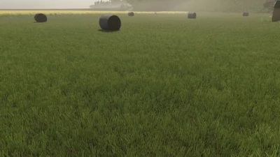 New Grass Texture v1.0.0.0