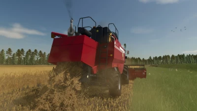 Palesse GS12 2008 v1.0.1.0