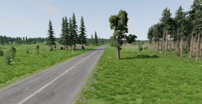 Poland (Summer/Winter) v1.0