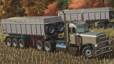 Randon Basculante 2000 v1.0.0.0