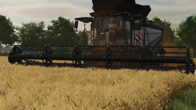 Rostselmash Torum 770 Pack v1.0.0.0