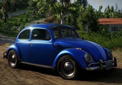 Volkswagen Beetle V24