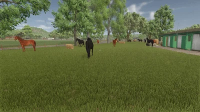 Auto Horse Care v1.0.0.0