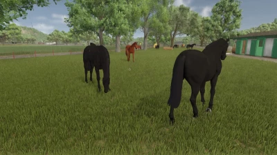 Auto Horse Care v1.0.0.0