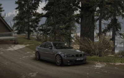 BMW E46 Coupe v3.3 0.36x
