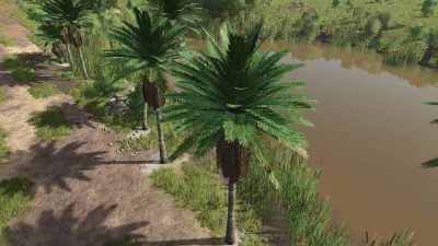 Coconut Trees v1.0.0.0