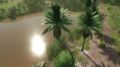 Coconut Trees v1.0.0.0