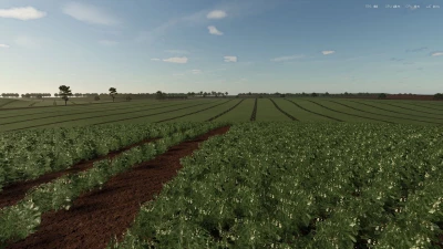 Fazenda Nova Esperança 4x v1.0.0.0