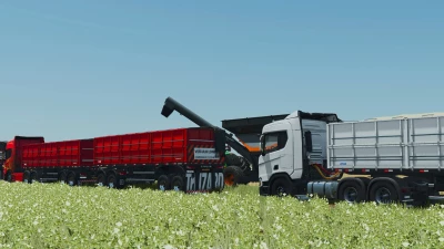 Randon Rodotrem Bulk Carrier v1.1.0.0