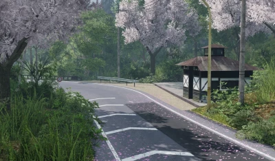 Sadamine Pass (Touge) v3.0.1