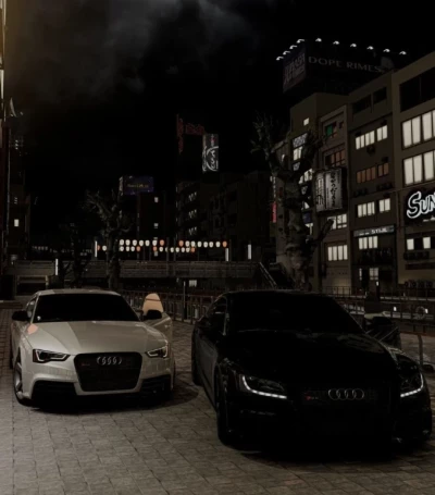 Audi RS5/S5 8T v1.0 0.36x