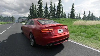 Audi S5/RS5 8T 0.36