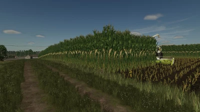 Maize texture height changed v1.0.0.0
