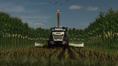 Maize texture height changed v1.0.0.0