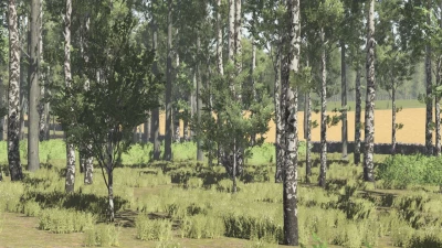 Pinewood Forest v1.6.0.5