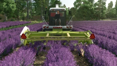 Ponzo Lavender Header v1.0.0.0