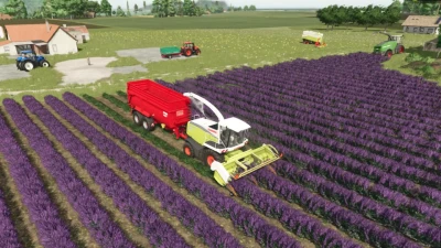 Ponzo Lavender Header v1.0.0.0