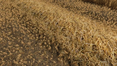 Realistic straw texture v1.0.0.0