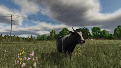 Rhönplateu Map v1.1.0.0