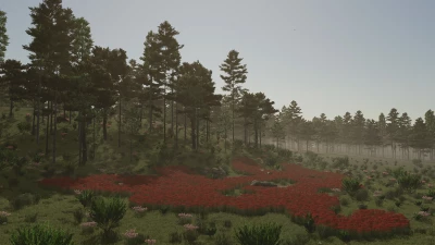 Ronîda Island v1.0.0.0