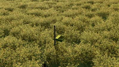 Yellow Tray v1.0.0.0