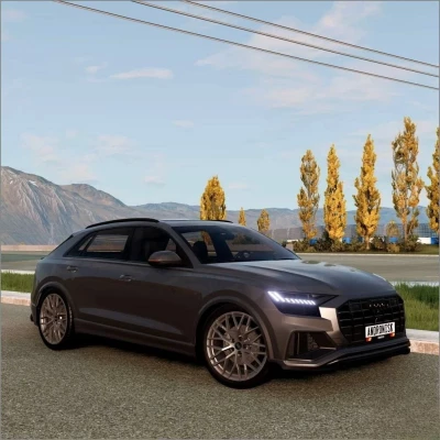 Audi Q8 Pack (SQ8 RSQ8) V3.0 0.34