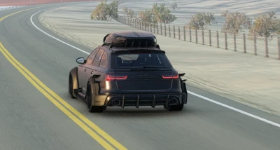 Audi rs6 c7 DTM v1.0