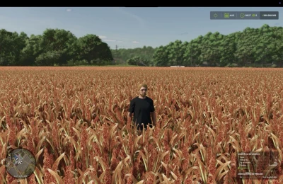 FS25 Millet (prefab) v1.0.0.0