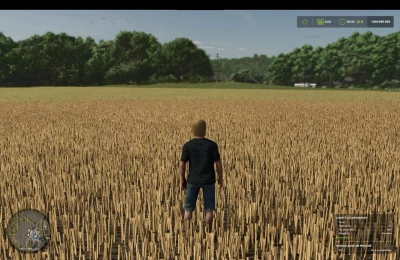 FS25 Millet (prefab) v1.0.0.0