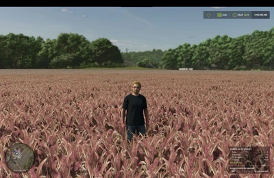 FS25 Millet (prefab) v1.0.0.0