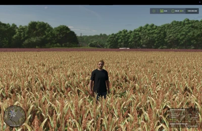 FS25 Millet (prefab) v1.0.0.0