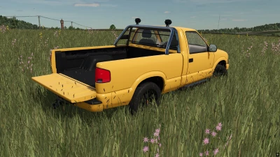 Lizard S10 1998 v1.0.0.0