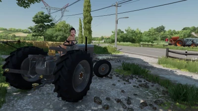 Massey Ferguson TE20 v1.0.0.0