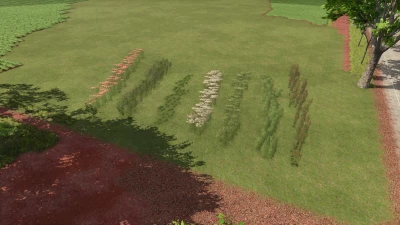 Plant Decoration Pack v1.0.0.0