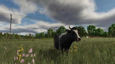 Rhönplateu Map v1.0.0.0