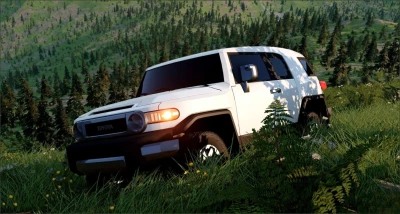 Toyota FJ Cruiser V2.4 0.34