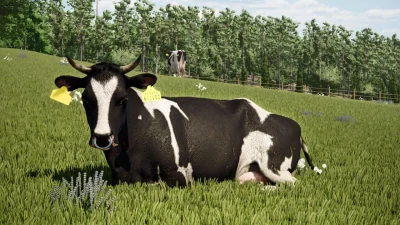 Treway Natural Vision v1.5.0.0