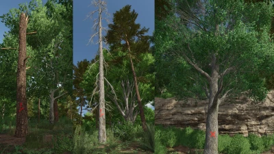 Advanced Deadwood Missions v1.0.0.0