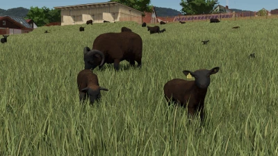 Animal Package Vanilla Edition v1.0.0.0