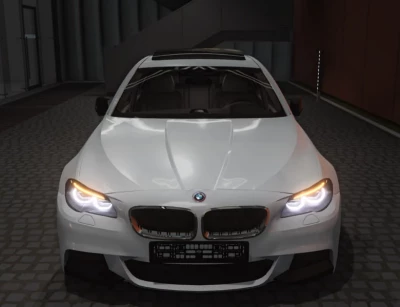 BMW 5 F10/F11 v1.0