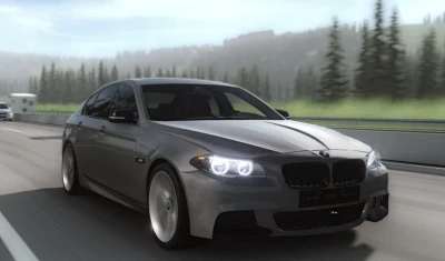 BMW 5 F10/F11 v1.0