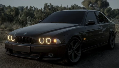 BMW E39 M57 Power v1.0 0.32