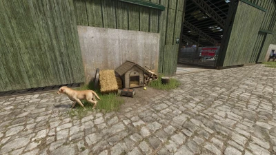 Dog House With Decoration v1.0.0.0