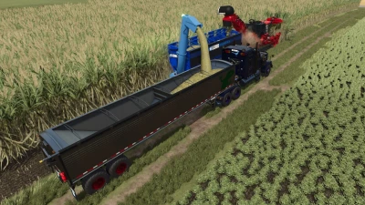 Lizard Auger Master v1.0.0.0