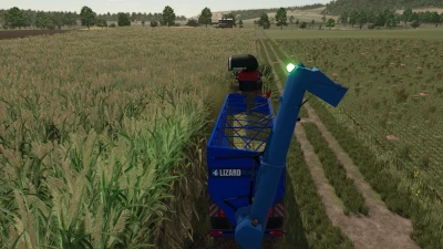 Lizard Auger Master v1.0.0.0