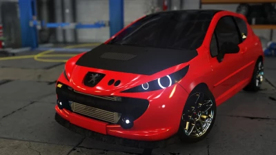 Peugeot 207 RC v1.0