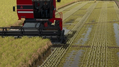 Rice Fields SA v1.0.0.0