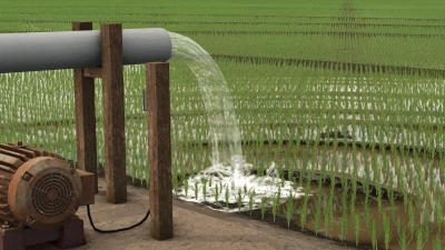 Rice Fields SA v1.0.0.0