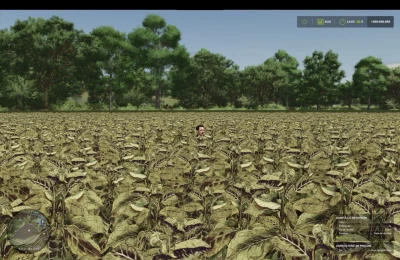 Riverbend Springs Multifruit v1.3.1.0