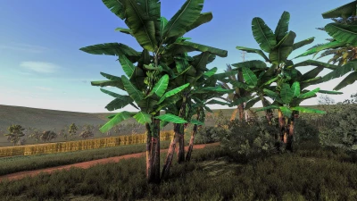 Banana tree v1.0.0.0
